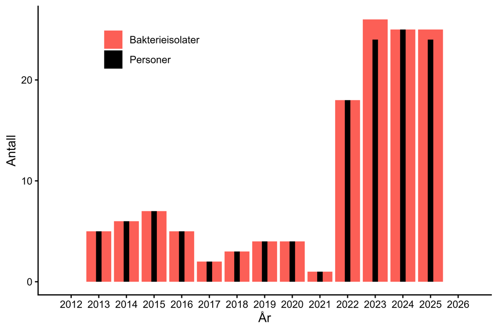 Figur 17. Antall personer og bakterieisolater med karbapenemase-produserende Pseudomonas spp. meldt til MSIS i perioden 2012-01.02.2026. Kilde: MSIS, FHI.