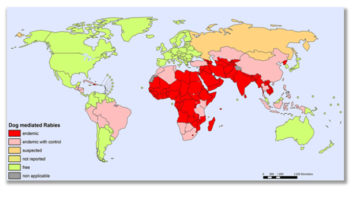 kart med farger der forekomsten av rabies hos hunder visesvises