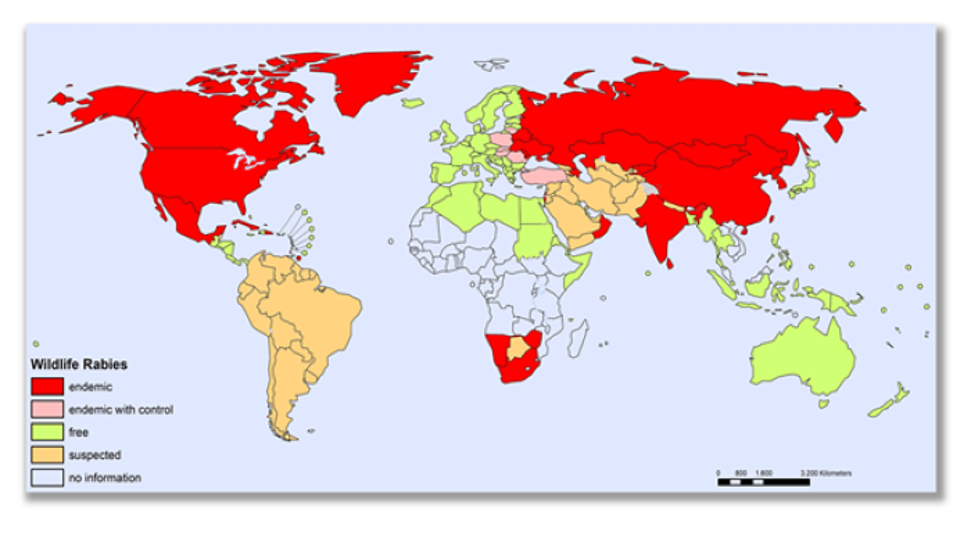 kart med farger der forekomsten av rabies vises