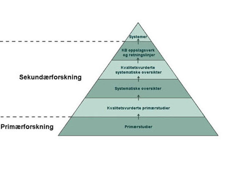 kunnskapspyramiden4.jpg