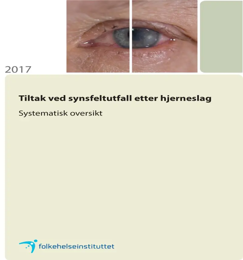 Forside_sysnfelt slag.jpg