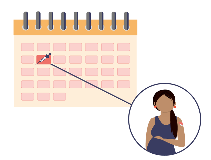 kalender med bilde av en sprøyte på en fiktiv dato. Fra denne datoen går det en strek ut til en sirkel med bilde av gravid dame inni som nettopp har fått vaksine og har plasterlapp på overarmen.