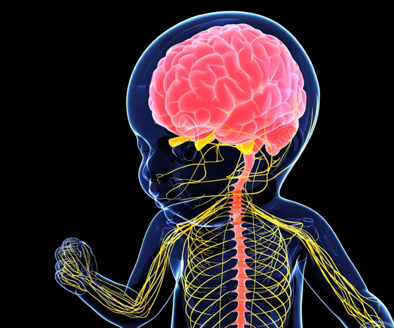 barn hjern neurotox GettyImages-525443685.jpg