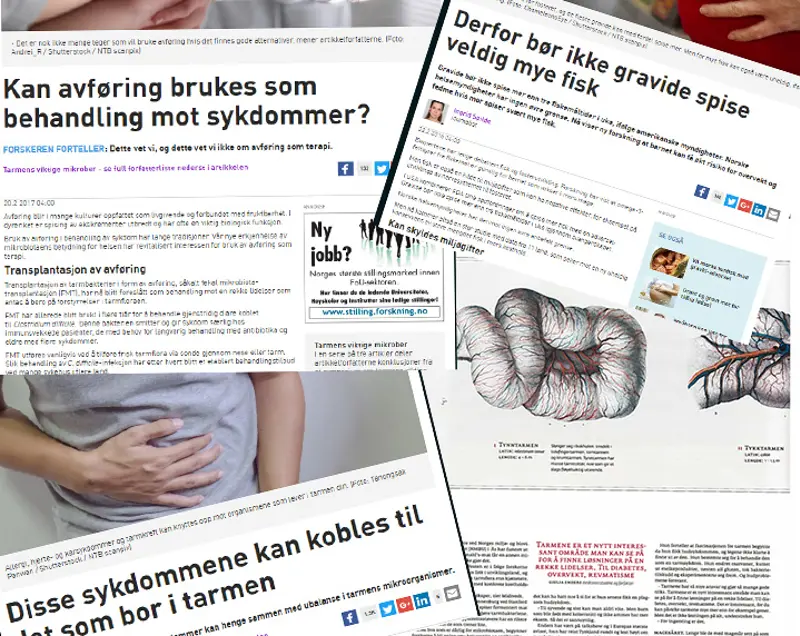 Diverse avisartikler