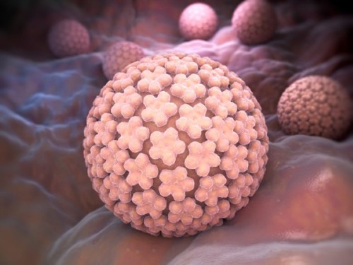 Modell av HPV-virus
