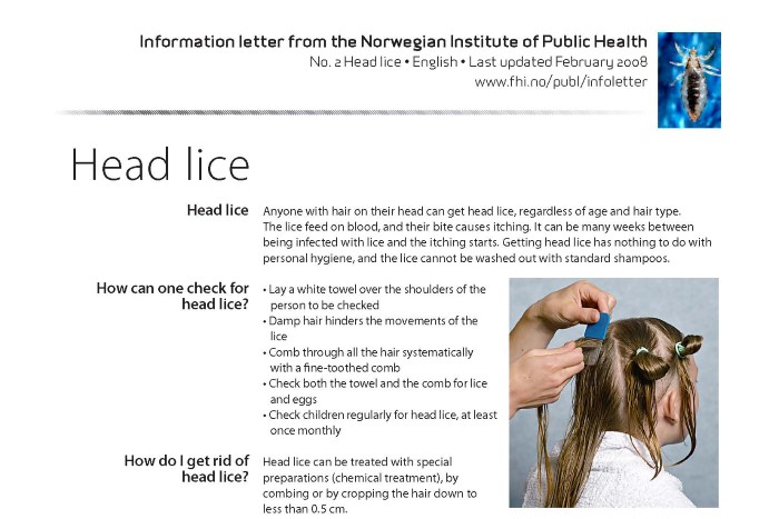 Information letters Head Lice breddebilde.jpg