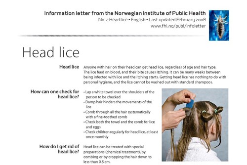 Information letters Head Lice breddebilde.jpg