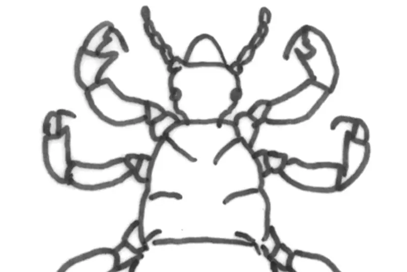 Lus