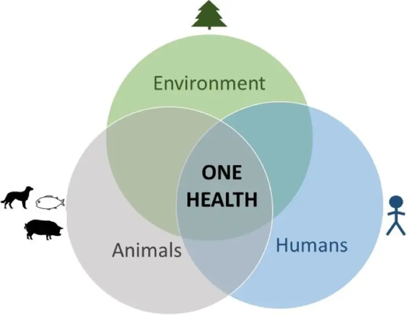 One health bilde.jpg