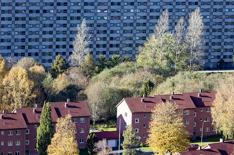 illustarsjon av bostedsmiljø