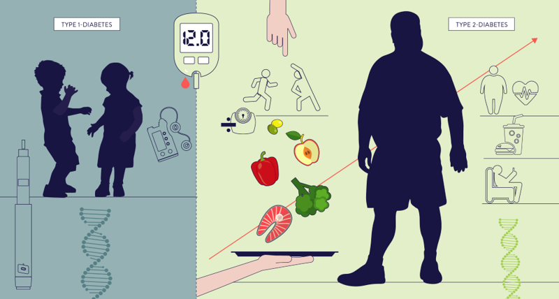 Type 1-diabetes behandles med insulin, og er den vanligste formen for diabetes blant barn og unge. Blant voksne og eldre er type 2-diabetes mer vanlig enn type-1 diabetes, og forekomsten øker med økende alder. Type 2-diabetes har sammenheng først og fremst med livsstil: fysisk aktivitet og sunt kosthold med mye fisk, grønnsaker, frukt og fiber-rik mat er forbudet med lavere risiko. Begge former for diabetes påvirkes også av arvelige faktorer, men arv alene er sjelden tilstrekkelig til å utvikle diabetes.  Antallet med type 2-diabetes øker i befolkningen Illustrasjon: Folkehelseinstituttet/Fete typer