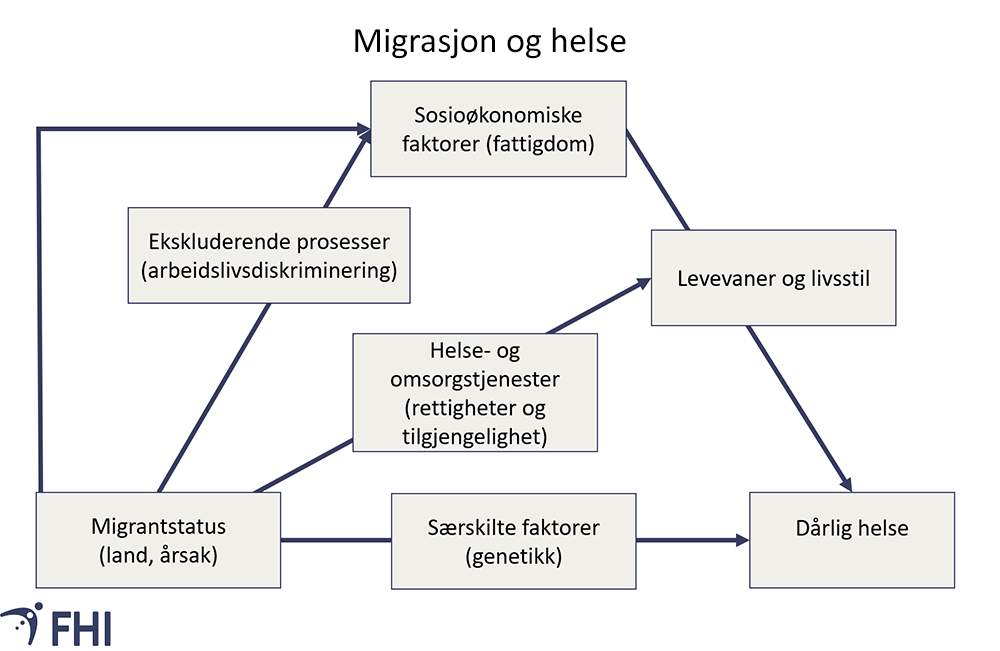 Figur 2. Modell for effekt av migrasjon på helse. Kilde: Migrant Health: A Primary Care Perspective. CRC Press 2019 . 