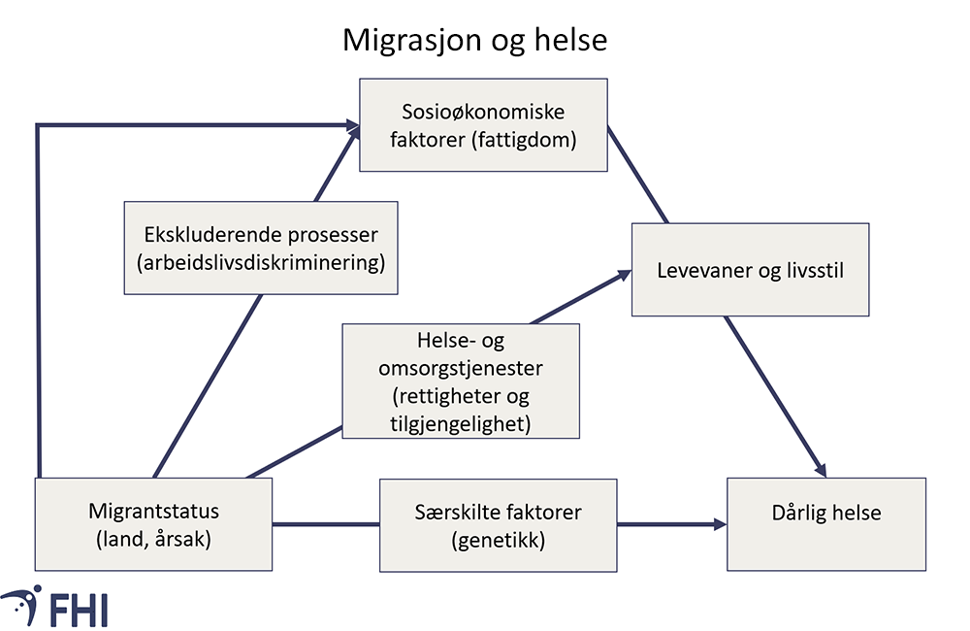 Figur 2. Modell for effekt av migrasjon på helse. Kilde: Migrant Health: A Primary Care Perspective. CRC Press 2019  