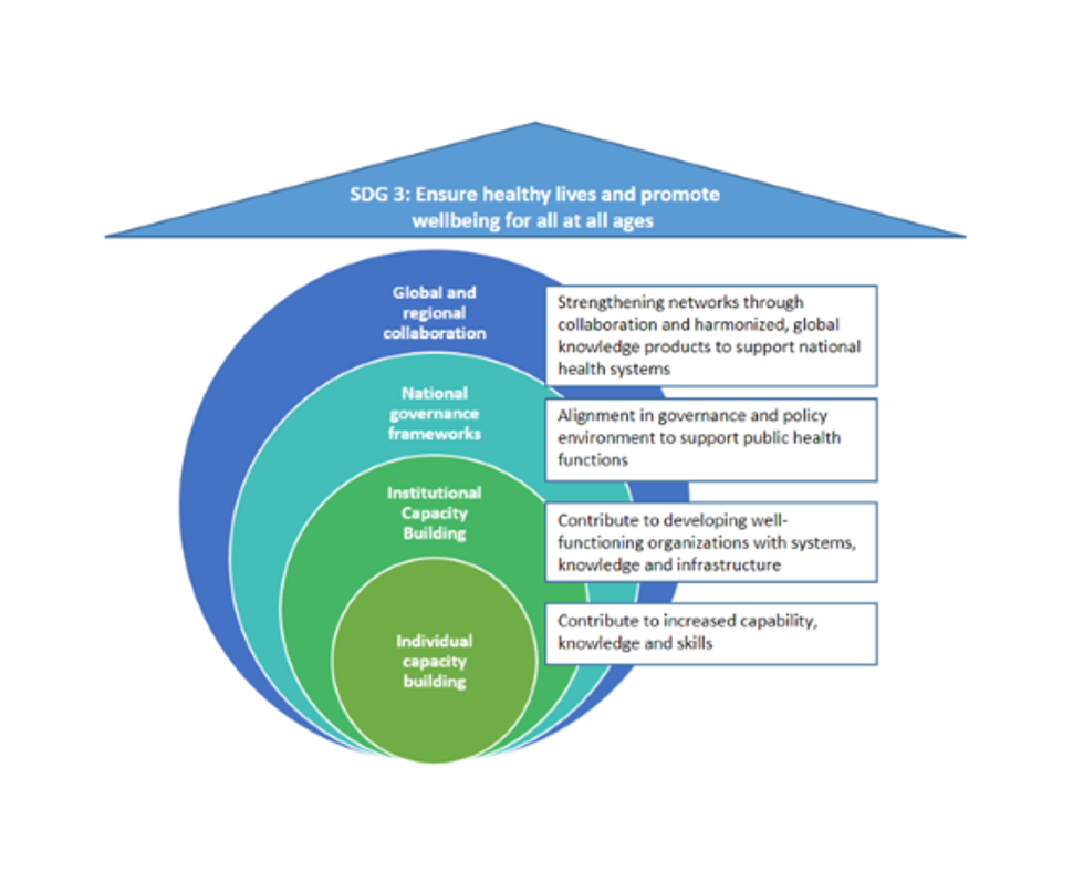 Figure that depicts the four levels of our public health capacity building model.
