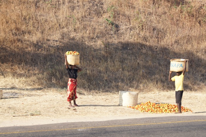Photo of Malawi