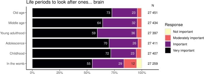 Life periods considered important to take care of one's brain