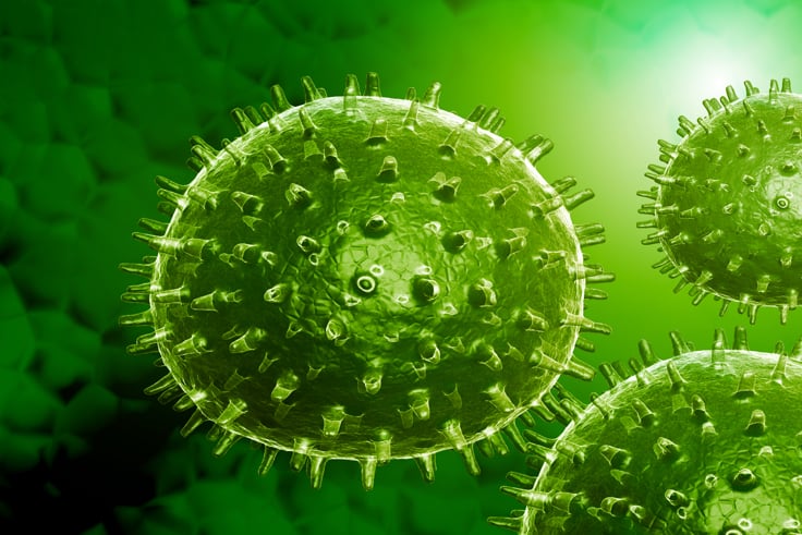 influensavirus grønn.jpg