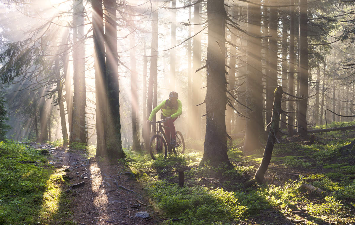 Eldre mann sykler i skogen. Shutterstock