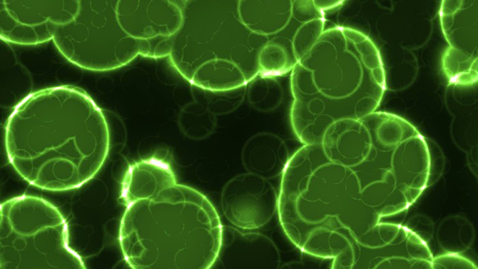 NORM---Illustrasjonsfoto-bakterier---fra-epi.jpg