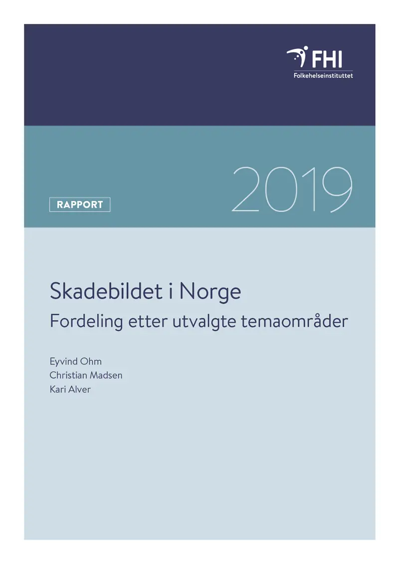 Skadebildet i Norge omslag