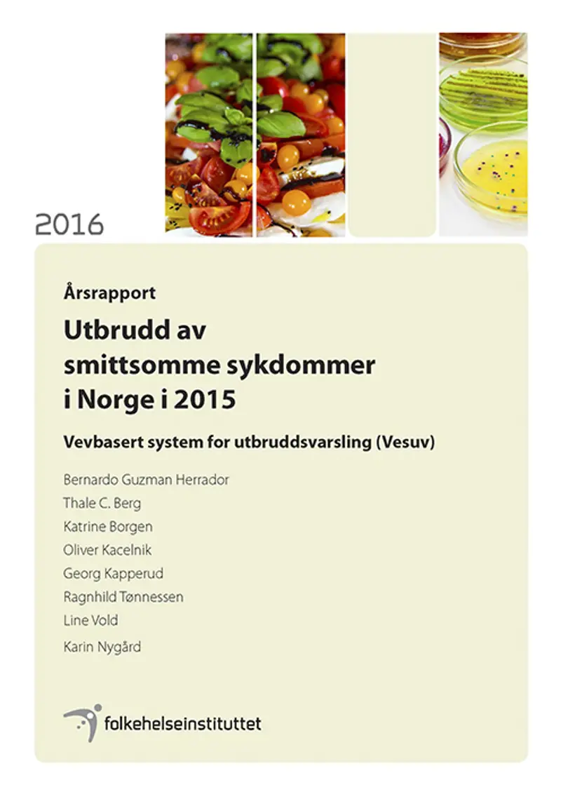 Årsrapport utbrudd 2015.jpg