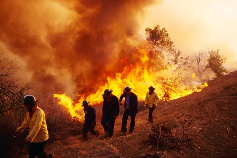 Brann, skogbrann, røyk FHI