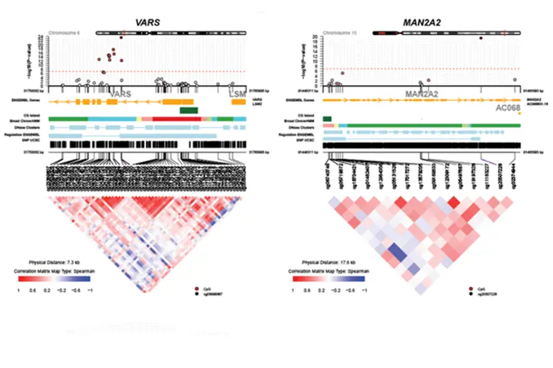 Aging - telomere length.jpg