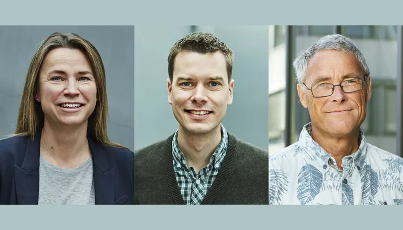 Research grants 2020 - Siri - Martin - Øystein.jpg