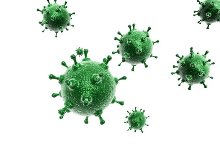 Resistente virus (illustrasjonsfoto)