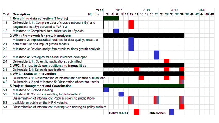 Gantt Chart For Health Promotion Program