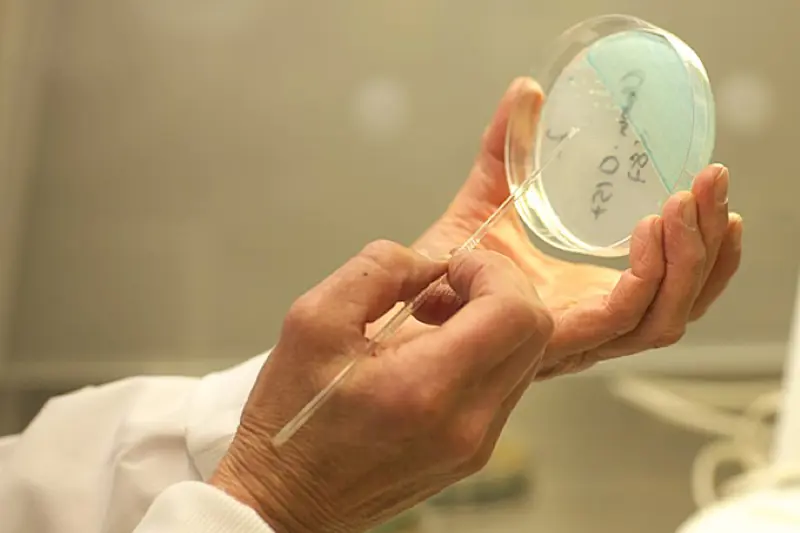 Copyright: Folkehelseinstituttet