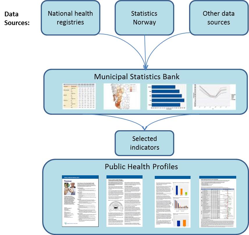 Data source municipal county public health proflies statistics bank.jpg