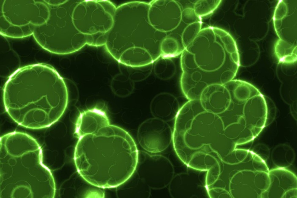 Illustrasjonsfoto av bakterier