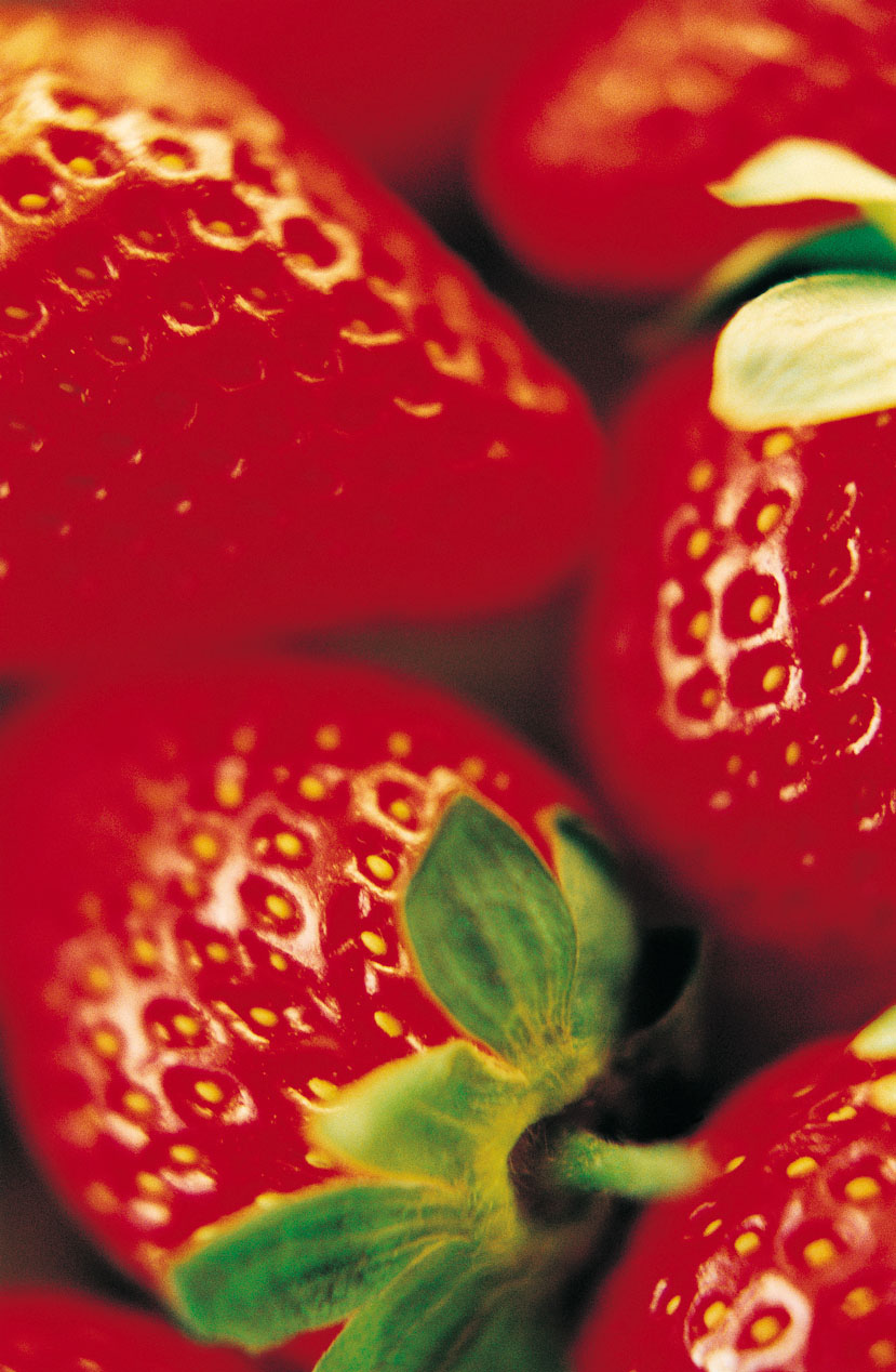 jordbær.jpg