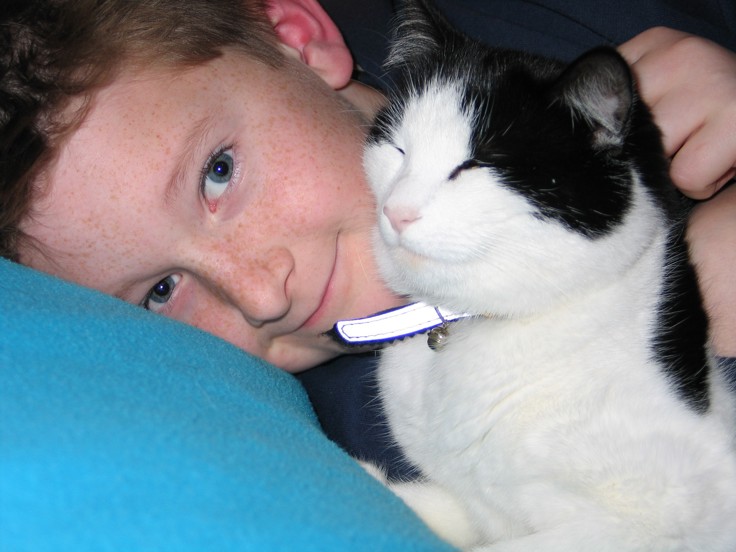 foto av gutt som koser med katt