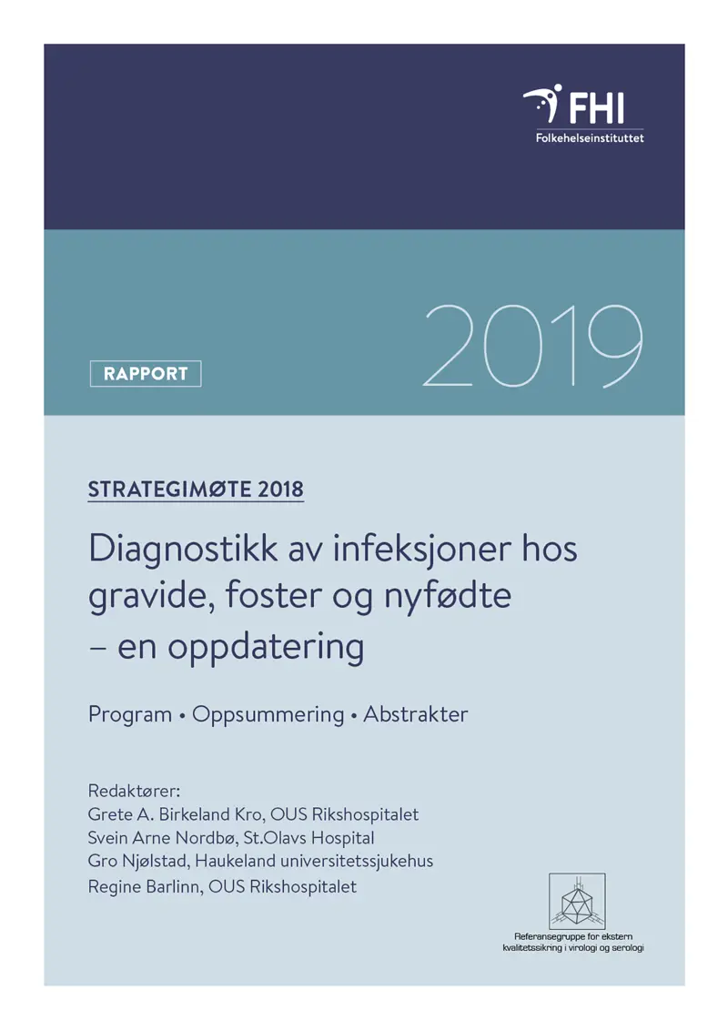 Rapport strategimøtet 2018 Infeksjoner hos gravide nyfødte og foster_OMSLAG.jpg