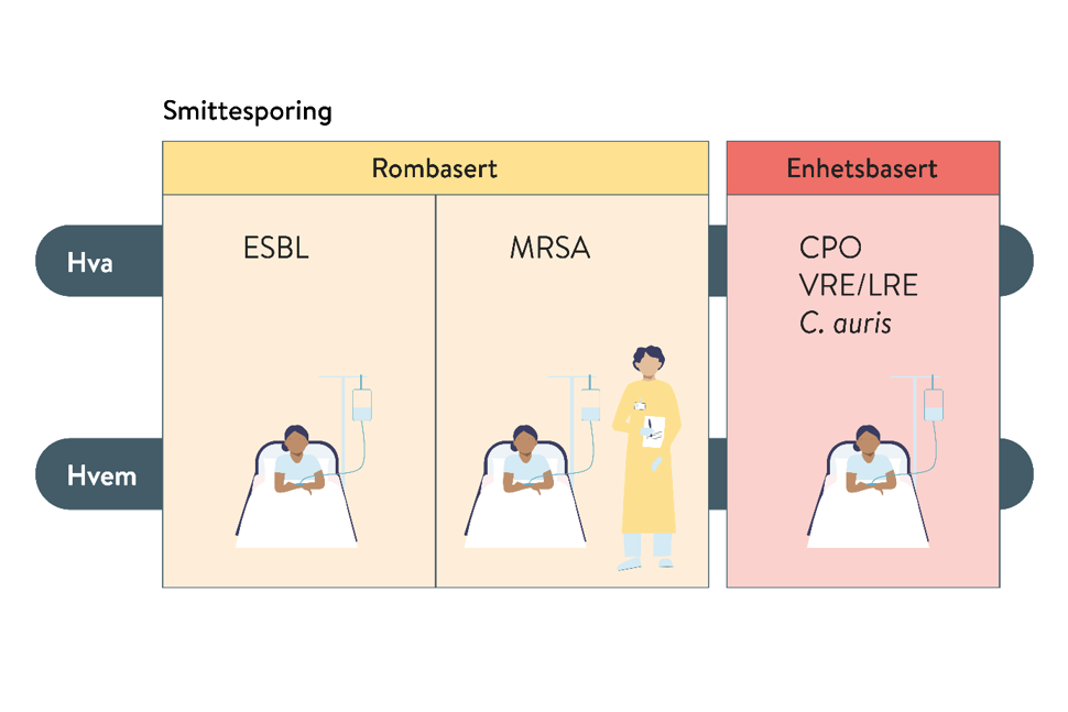 Illustrasjon som viser avgrensning av smittesporing ved resistente mikrober